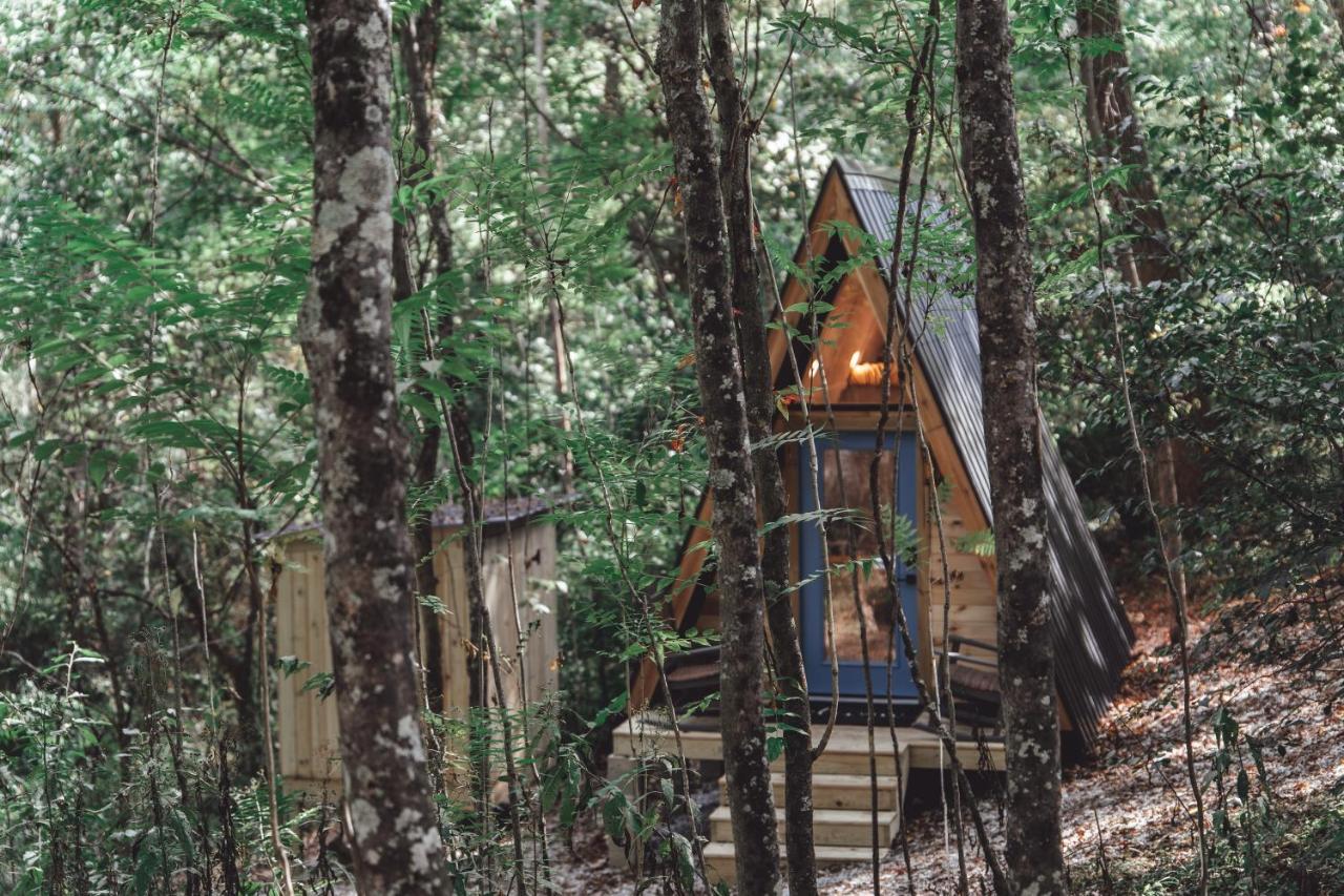 Blue Brambler Glamping A-Frame Apartman Rockbridge Kültér fotó